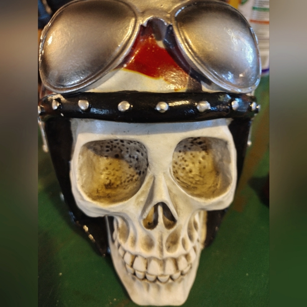 Bike skull